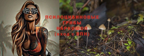 прущая мука Арсеньев