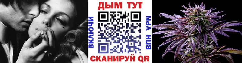 Бошки Шишки Amnesia  Пересвет 